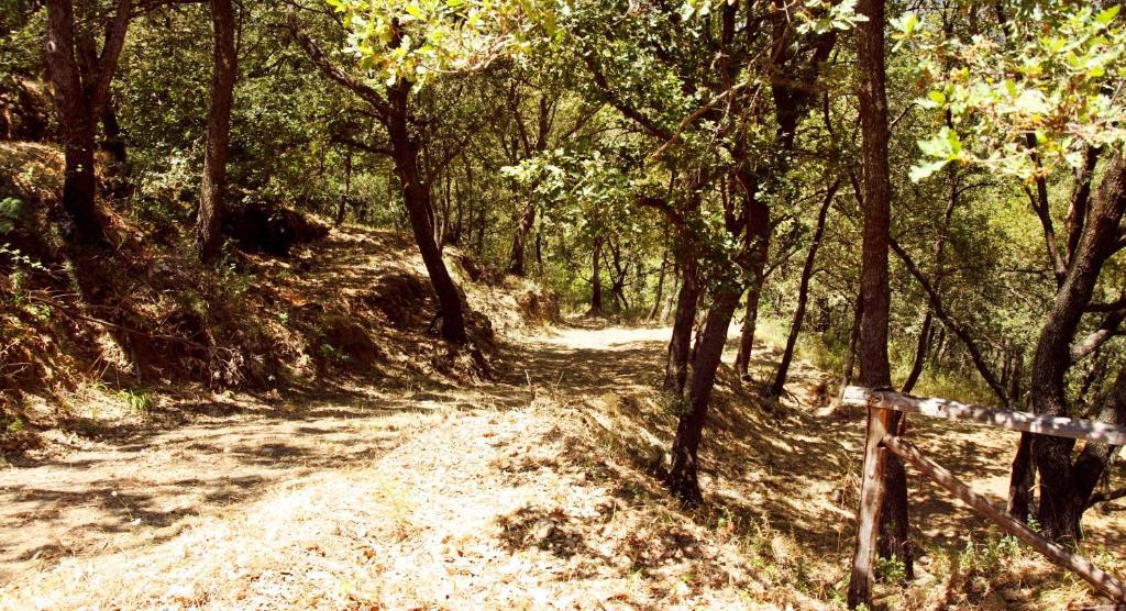 Le Oreadi Francavilla di Sicilia Buitenkant foto